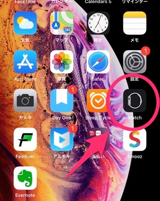 グレイスケール Apple Watchの画面を白黒のモノクロ表示に変更する方法 林檎時計のある生活